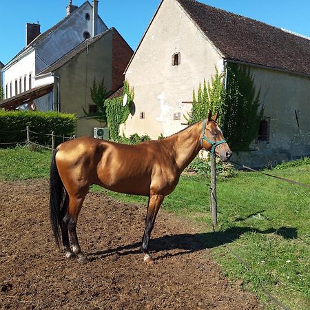 Le Moulin Neuf Villa Brienon-sur-Armancon ภายนอก รูปภาพ