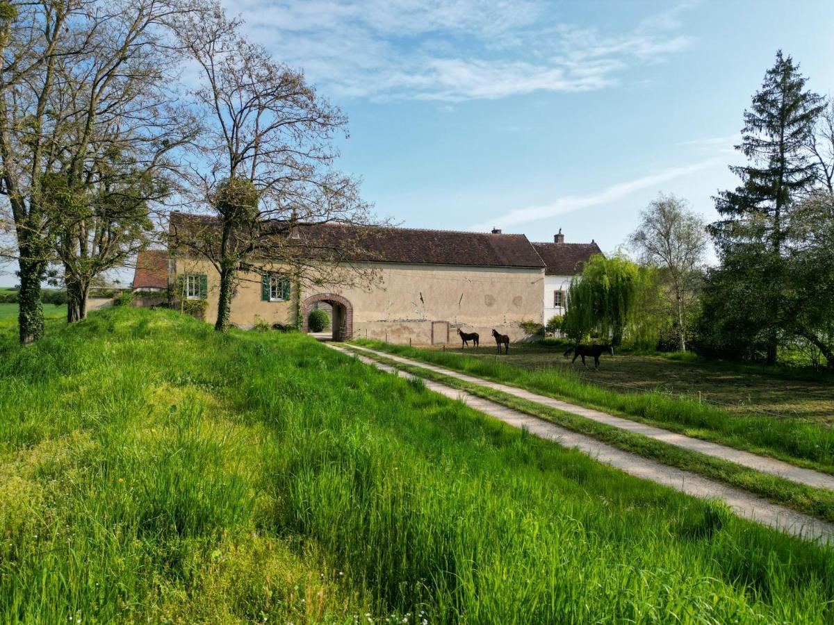 Le Moulin Neuf Villa Brienon-sur-Armancon ภายนอก รูปภาพ