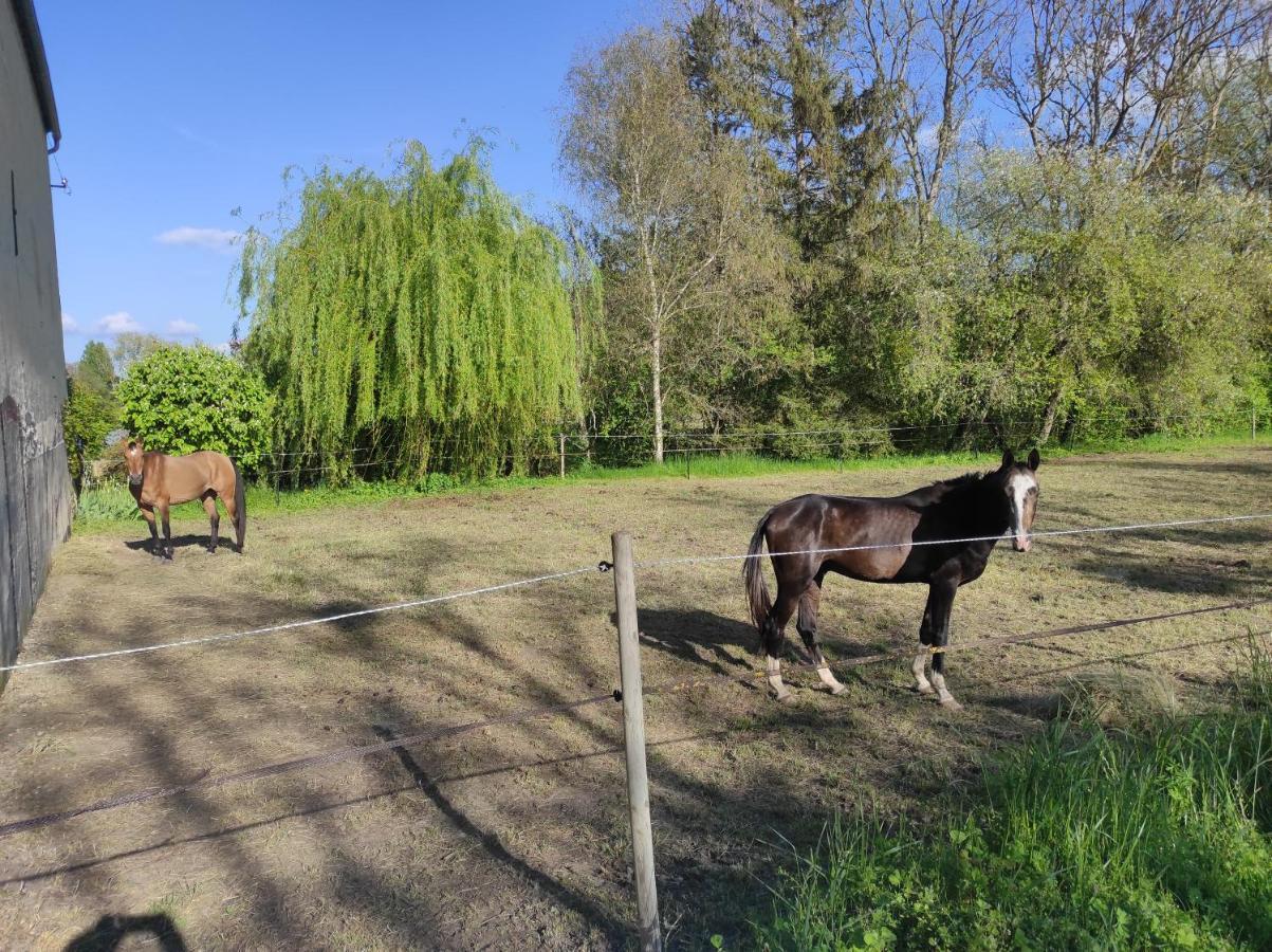 Le Moulin Neuf Villa Brienon-sur-Armancon ภายนอก รูปภาพ