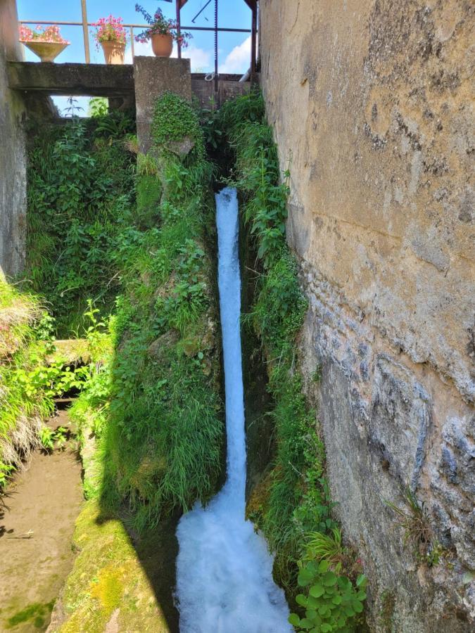 Le Moulin Neuf Villa Brienon-sur-Armancon ภายนอก รูปภาพ
